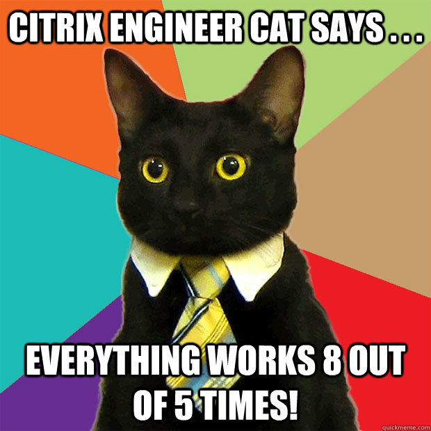 Citrix Engineer Cat says . . . everything works 8 out of 5 times! - Citrix Engineer Cat says . . . everything works 8 out of 5 times!  Business Cat