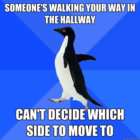 Someone's walking your way in the hallway can't decide which side to move to  Socially Awkward Penguin