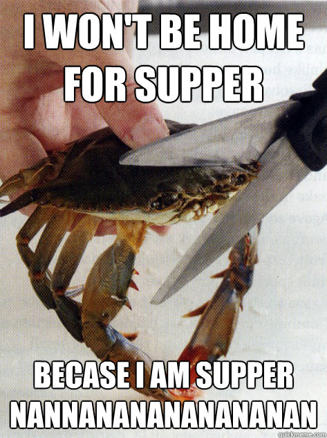 I won't be home for supper becase i am supper nannananananananan  Optimistic Crab