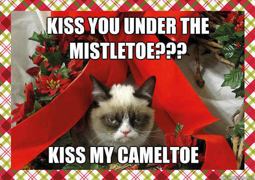 kiss you under the mistletoe??? kiss my cameltoe  merry christmas