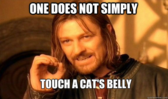 One does not simply Touch a cat's belly  Boromir