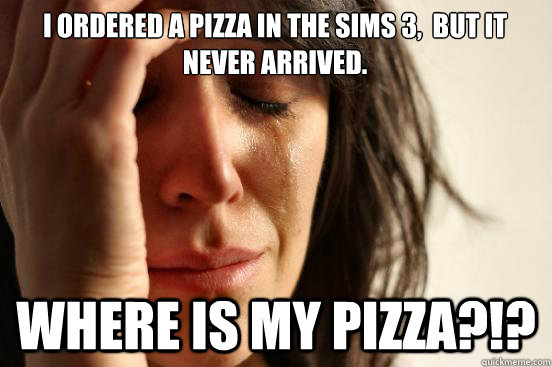 I ordered a pizza in The Sims 3,  but it never arrived. Where is my pizza?!?  First World Problems