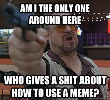 Am I the only one around here who gives a shit about how to use a meme?   Pedantic Walter