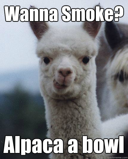 Wanna Smoke? Alpaca a bowl  ALPACA