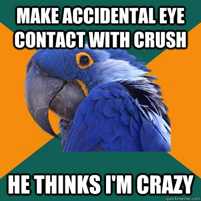 Make accidental eye contact with crush He thinks I'm crazy  Paranoid Parrot