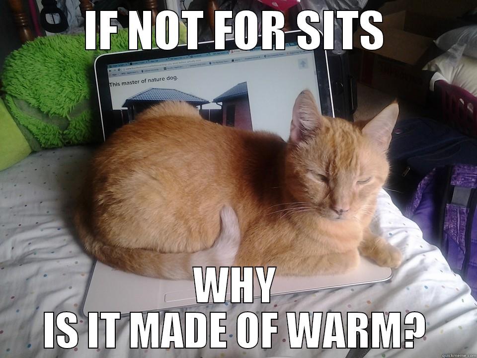 IF NOT FOR SITS WHY IS IT MADE OF WARM? Misc