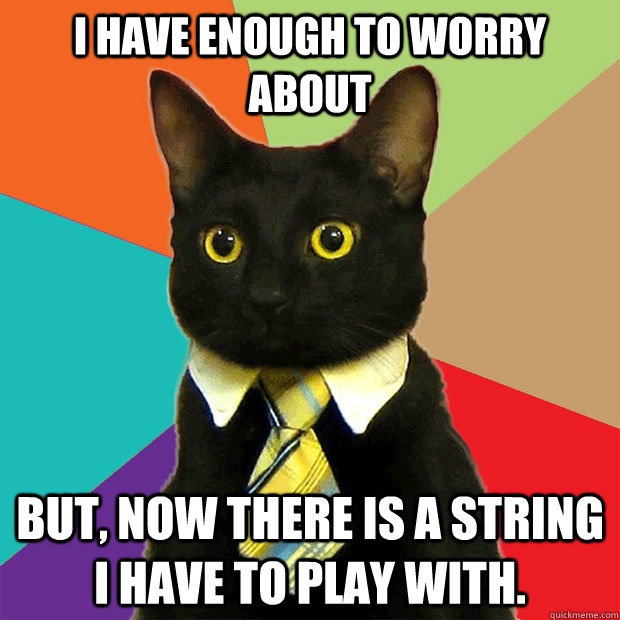 I have enough to worry about but, now there is a string i have to play with.  Business Cat