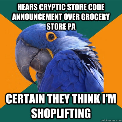 hears cryptic store code announcement over grocery store pa certain they think i'm shoplifting  Paranoid Parrot