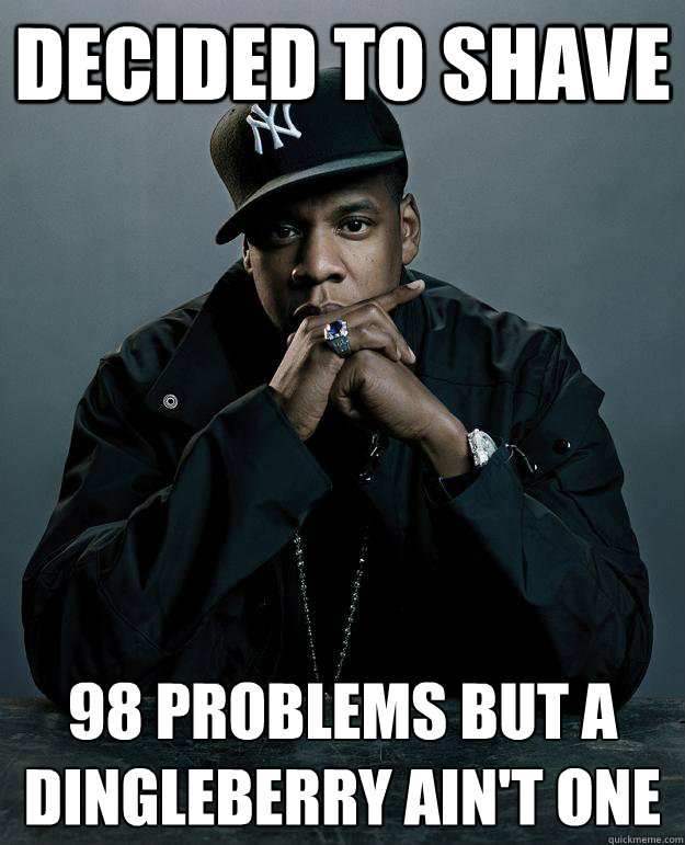 DECIDED TO shave 98 problems but a dingleberry ain't one  Jay-Z 99 Problems