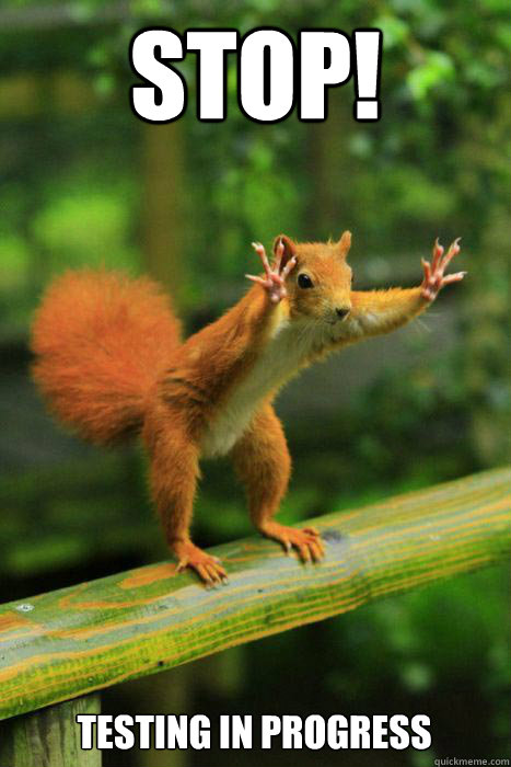 STOP! TESTING IN PROGRESS - STOP! TESTING IN PROGRESS  Stop Squirrel
