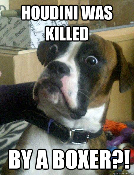 Houdini was killed   by a boxer?!  Baffled boxer