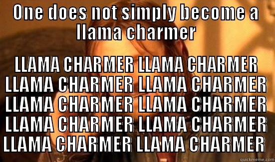 ONE DOES NOT SIMPLY BECOME A LLAMA CHARMER LLAMA CHARMER LLAMA CHARMER LLAMA CHARMER LLAMA CHARMER LLAMA CHARMER LLAMA CHARMER LLAMA CHARMER LLAMA CHARMER LLAMA CHARMER LLAMA CHARMER  Boromir