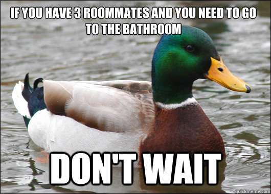 if you have 3 roommates and you need to go to the bathroom don't wait  Actual Advice Mallard