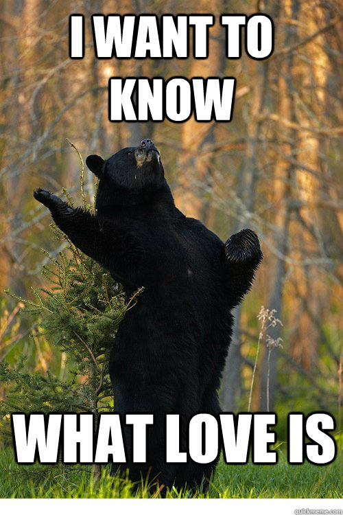i want to know what love is - i want to know what love is  Fabulous Bear