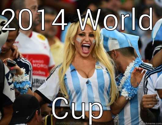 2014 WORLD  CUP Misc