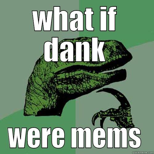 WHAT IF DANK WERE MEMS Philosoraptor