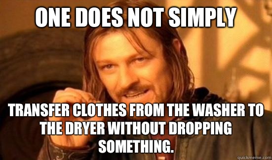 One Does Not Simply Transfer clothes from the washer to the dryer without dropping something.  Boromir