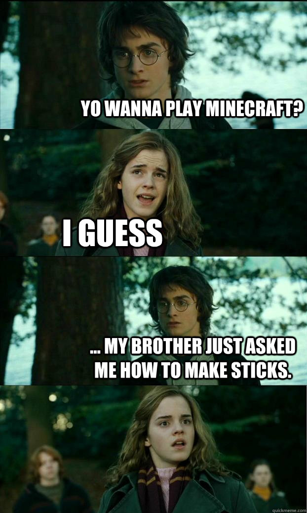 Yo wanna play minecraft? I guess ... my brother just asked me how to make sticks.  Horny Harry