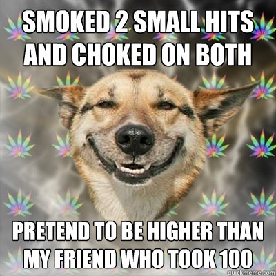 smoked 2 small hits and choked on both pretend to be higher than my friend who took 100  Stoner Dog