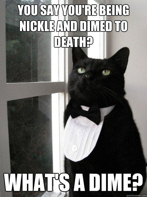 YOu say you're being nickle and dimed to death? WHat's a dime?  One Percent Cat
