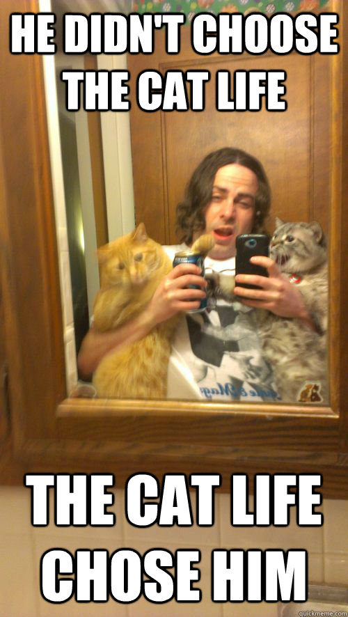 He didn't choose the cat life The cat life chose him - He didn't choose the cat life The cat life chose him  Misc