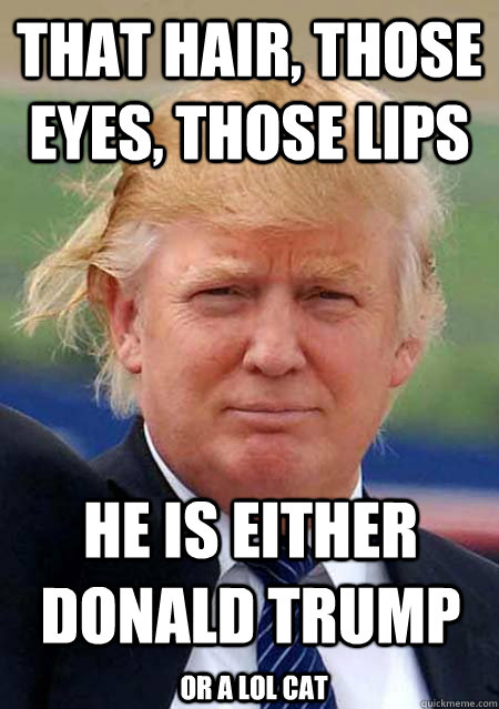 That hair, those eyes, those lips He is either donald trump or A lol cat  