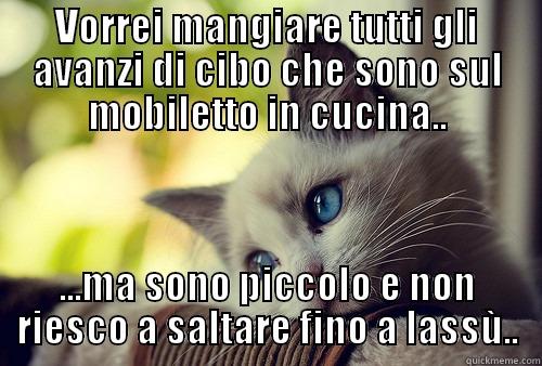 VORREI MANGIARE TUTTI GLI AVANZI DI CIBO CHE SONO SUL MOBILETTO IN CUCINA.. ...MA SONO PICCOLO E NON RIESCO A SALTARE FINO A LASSÙ.. First World Problems Cat