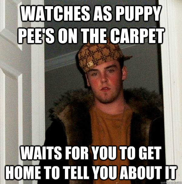 watches as puppy pee's on the carpet waits for you to get home to tell you about it  Scumbag Steve