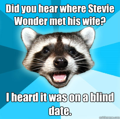Did you hear where Stevie Wonder met his wife? I heard it was on a blind date.  Lame Pun Coon
