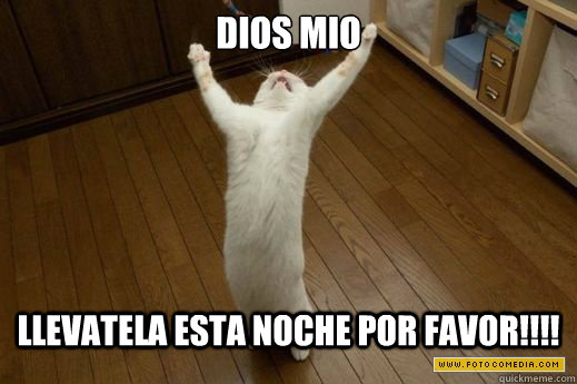 DIOS MIO LLEVATELA ESTA NOCHE POR FAVOR!!!!  