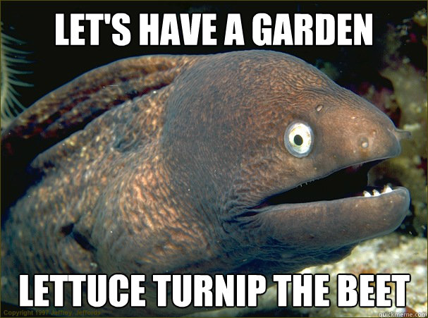 Let's have a garden party lettuce turnip the beet  Bad Joke Eel
