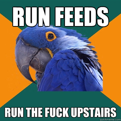 Run FEEDS run the fuck upstairs  Paranoid Parrot