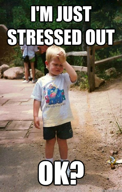 I'm just stressed out OK?  Regretful Toddler