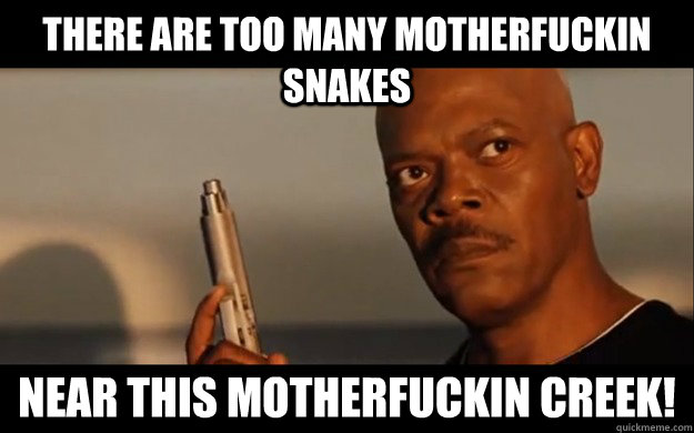 There are too many motherfuckin snakes near this motherfuckin creek! - There are too many motherfuckin snakes near this motherfuckin creek!  Misc