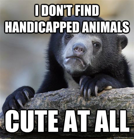 i don't find handicapped animals cute at all  Confession Bear