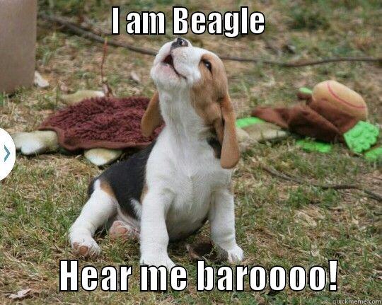                  I AM BEAGLE                           HEAR ME BAROOOO!      Misc