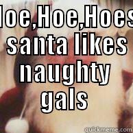 HOE,HOE,HOES  SANTA LIKES NAUGHTY GALS                                                                                                               Misc