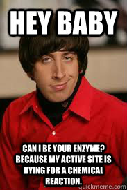 Hey Baby Can I be your enzyme? Because my active site is dying for a chemical reaction.  Howard Pick-Up Line