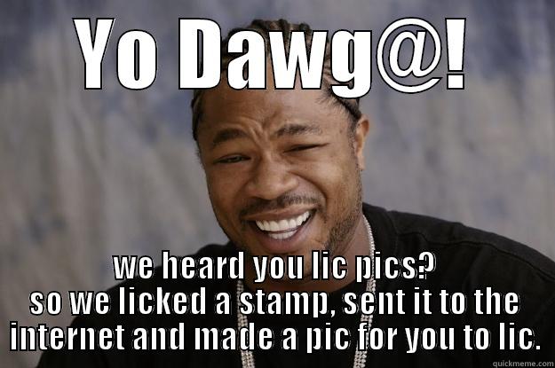 Crux's fetish - YO DAWG@! WE HEARD YOU LIC PICS? SO WE LICKED A STAMP, SENT IT TO THE INTERNET AND MADE A PIC FOR YOU TO LIC. Xzibit meme