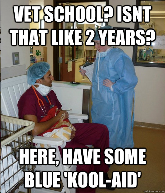 vet school? Isnt that like 2 years? here, have some blue 'kool-aid' - vet school? Isnt that like 2 years? here, have some blue 'kool-aid'  Overworked Veterinary Student
