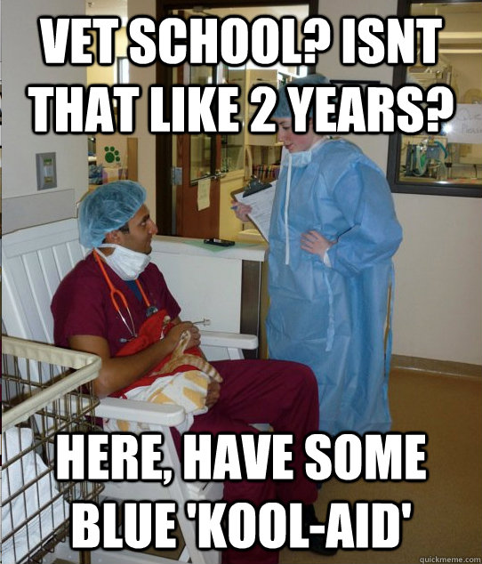 vet school? Isnt that like 2 years? here, have some blue 'kool-aid'  Overworked Veterinary Student