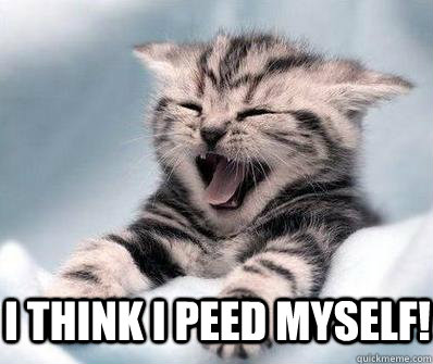 i think i peed myself!  Laughing Cat