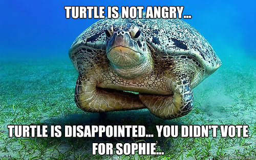 Turtle is not angry... Turtle is disappointed... you didn't vote for Sophie...  - Turtle is not angry... Turtle is disappointed... you didn't vote for Sophie...   Disappointed Turtle