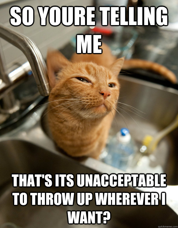 So youre telling me That's its unacceptable to throw up wherever I want?  Skeptical cat