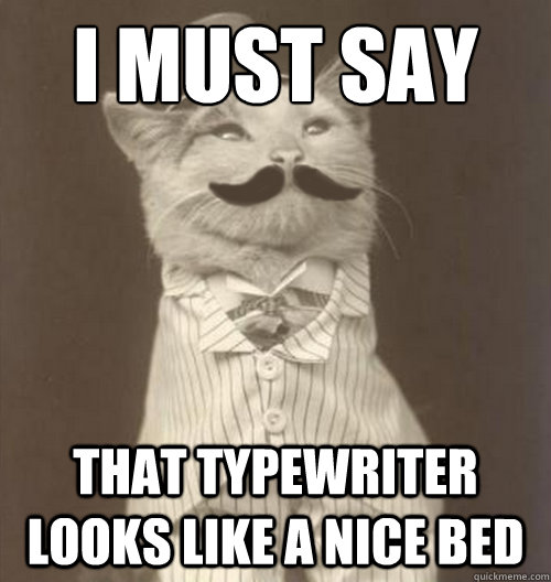 I must say That typewriter looks like a nice bed  Original Business Cat