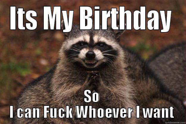 Its My Birthday - ITS MY BIRTHDAY SO I CAN FUCK WHOEVER I WANT Evil Plotting Raccoon