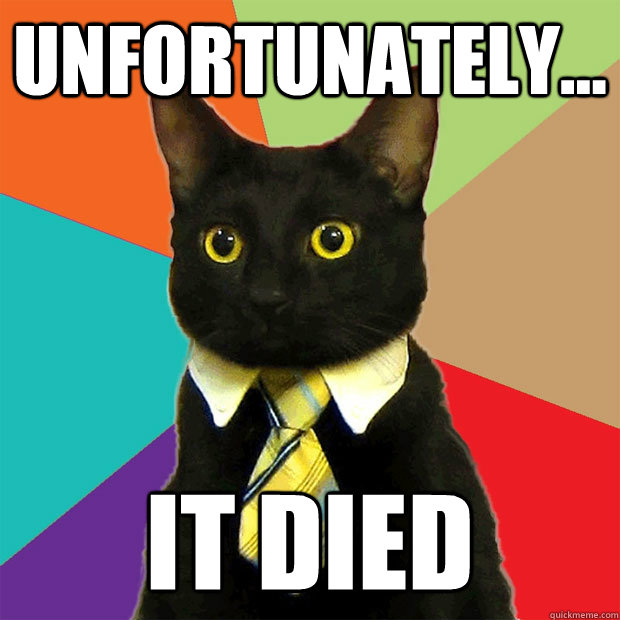 UNFORTUNATELY... IT DIED  Business Cat