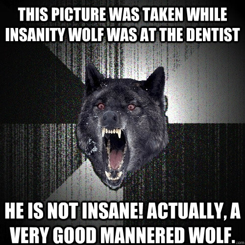 This picture was taken while insanity wolf was at the dentist He is not insane! Actually, a very good mannered wolf.  Insanity Wolf