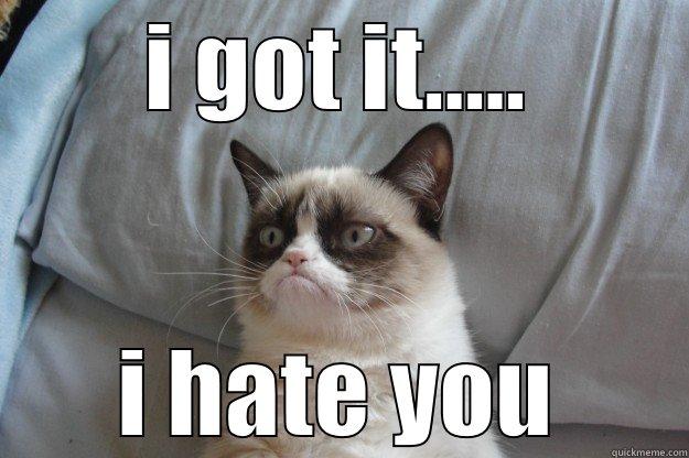 I GOT IT..... I HATE YOU Grumpy Cat