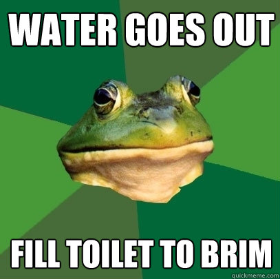 Water goes out Fill toilet to brim  Foul Bachelor Frog